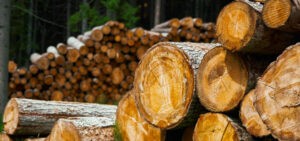 Full Taking – Former Lumberyard